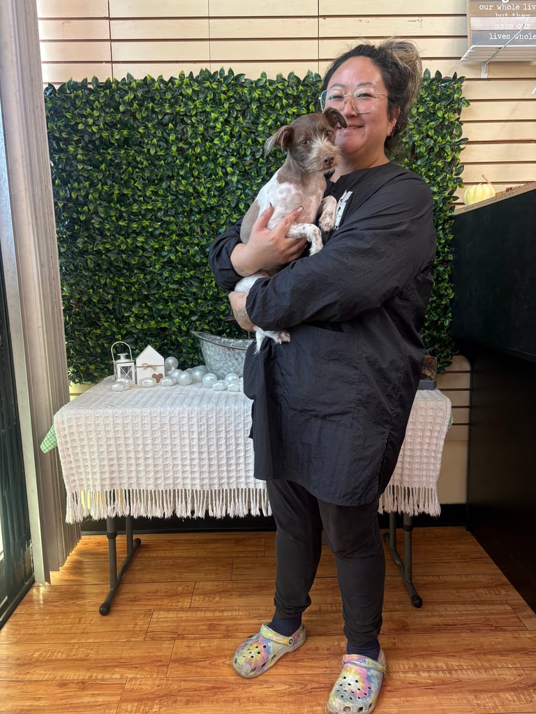 Stephanie, professional pet groomer with 7 years experience, holding a small brown and white dog indoors